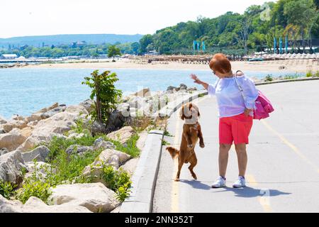 Senior elegante 73 anni donna divertirsi con il suo cocker spaniel maschio animale domestico su una passeggiata nella bella giornata di primavera a Varna Beach Promenade, Bulgaria, maggio 2022 Foto Stock