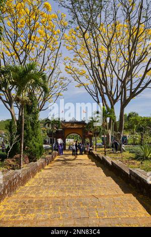 27 gennaio 2023, provincia di Lam Dong, Vietnam: La scena del Monastero di Bat Nha nella stagione delle capesante gialle Foto Stock