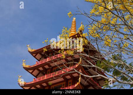 27 gennaio 2023, provincia di Lam Dong, Vietnam: La scena del Monastero di Bat Nha nella stagione delle capesante gialle Foto Stock