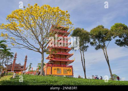 27 gennaio 2023, provincia di Lam Dong, Vietnam: La scena del Monastero di Bat Nha nella stagione delle capesante gialle Foto Stock