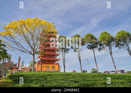 27 gennaio 2023, provincia di Lam Dong, Vietnam: La scena del Monastero di Bat Nha nella stagione delle capesante gialle Foto Stock