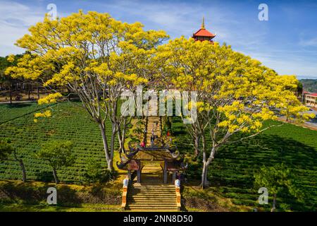 27 gennaio 2023, provincia di Lam Dong, Vietnam: La scena del Monastero di Bat Nha nella stagione delle capesante gialle Foto Stock