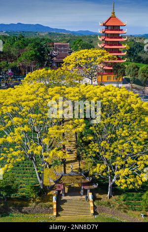 27 gennaio 2023, provincia di Lam Dong, Vietnam: La scena del Monastero di Bat Nha nella stagione delle capesante gialle Foto Stock