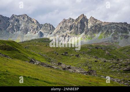 Una vista panoramica sulle enormi cime montane di Silvretta Arena Ischgl. In primo piano i prati verdi con grandi massi grigi o pietre. Foto Stock