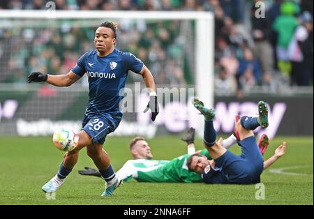 Germania. 25th Feb, 2023. Brema, Germania. 25th Feb, 2023. Calcio: Bundesliga, Werder Bremen - VfL Bochum, Giornata 22, wohninvest Weserstadion. Pierre Malong di Bochum sulla palla. Credit: Carmen Jaspersen/dpa - NOTA IMPORTANTE: In conformità ai requisiti della DFL Deutsche Fußball Liga e del DFB Deutscher Fußball-Bund, è vietato utilizzare o utilizzare fotografie scattate nello stadio e/o della partita sotto forma di sequenze di immagini e/o serie di foto simili a video./dpa/Alamy Live News Credit: dpa Picture Alliance/Alamy Live News Foto Stock