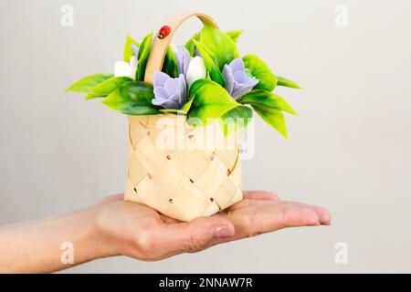 Un piccolo cesto in impiallacciatura con cruses e narcisi fatto a mano sapone su una mano donna. Foto Stock