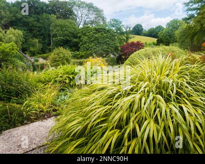 All'inizio di giugno, vista sul giardino recintato presso la Garden House, Buckland Monachorum, Devon Foto Stock