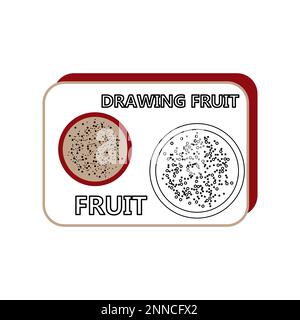Set di fette di frutta estive rotonde Illustrazione Vettoriale