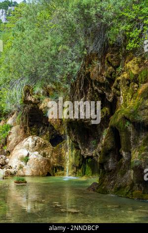 La sorgente del fiume Cuervo (Nacimiento del Rio Cuervo) a Cuenca, Castilla la Mancha, Spagna Foto Stock