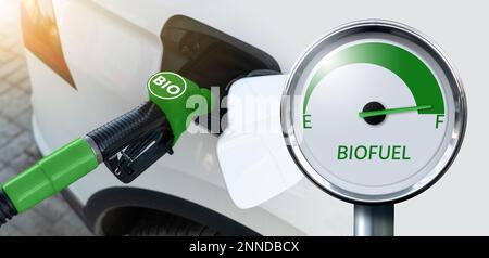 Concetto di decarbonizzazione del carburante biologico a emissioni di carbonio neutre Foto Stock