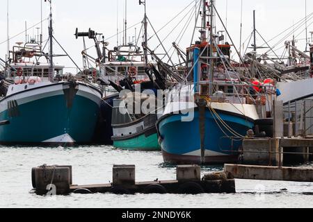 Barche da pesca Trawler legate al molo nel porto Foto Stock