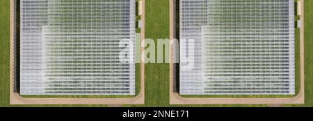 Serre agricole industriali per la coltivazione di ortaggi. Vista aerea Foto Stock