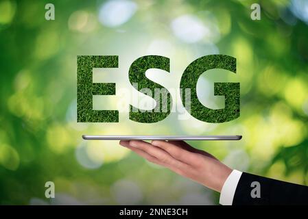 Concetto di ESG - quadro ambientale, sociale e di governance Foto Stock