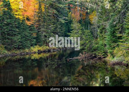 Autunno sul West Branch Ausable River, Adirondack Mountains, Lake Placid, New York Foto Stock