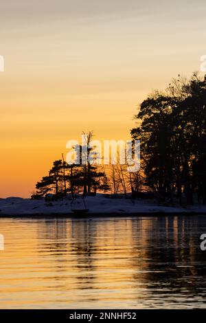 Silhouette retroilluminate con corvi nell'albero Foto Stock