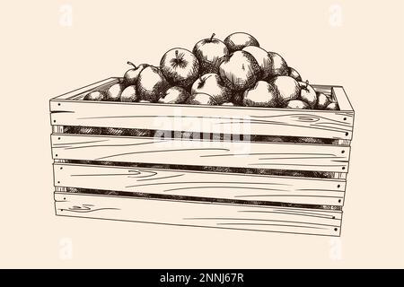Scatola di legno piena di mele mature. Illustrazione Vettoriale