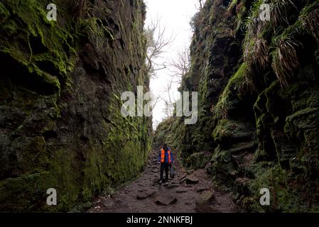 Litter Picker (Male/Man) raccolta di Litter nel Peak District National Park- presso Lud's Church, Buxton/Staffordshire. Foto Stock