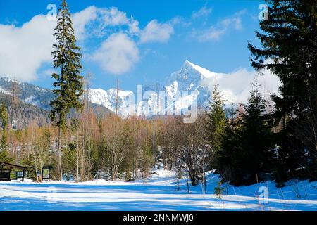 Valle silenziosa e collina di Krivan in alta Tratras, Slovacchia Foto Stock