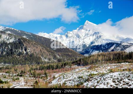 Valle silenziosa e collina di Krivan in alta Tratras, Slovacchia Foto Stock