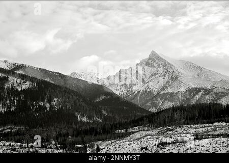 Valle silenziosa e collina di Krivan in alta Tratras, Slovacchia Foto Stock