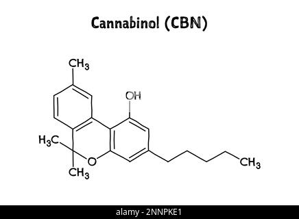 Cannabinolo, o CBN, struttura molecolare. Il cannabinolo è un cannabinoide leggermente psicoattivo estratto dalla cannabis. .Formula strutturale vettoriale del composto chimico. Penna nera stile disegnato a mano. Illustrazione Vettoriale