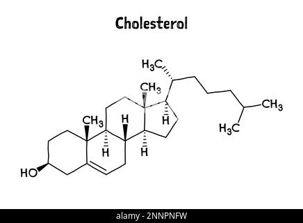 Struttura molecolare del colesterolo. Il colesterolo è un componente lipidico e strutturale essenziale delle membrane cellulari animali. .Formula strutturale vettoriale del composto chimico. Penna nera stile disegnato a mano. Illustrazione Vettoriale