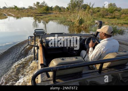 Ranger guida in jeep attraverso Water ford, safari, regione di Khwai, Distretto Nord-Ovest, Delta di Okavango, Botswana Foto Stock