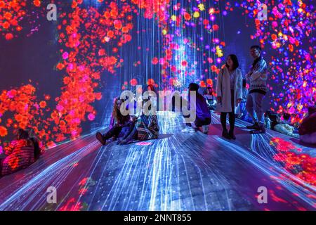 Digital Art Museum, Epson Team Lab Borderless, Odaiba Island, Tokyo, Giappone Foto Stock