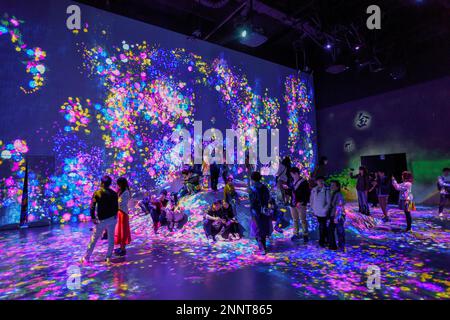 Digital Art Museum, Epson Team Lab Borderless, Odaiba Island, Tokyo, Giappone Foto Stock