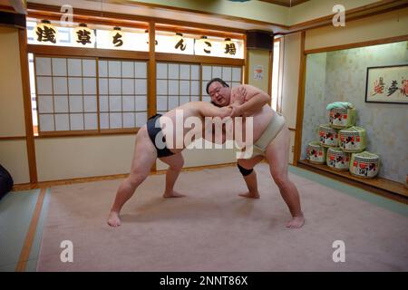 Lottatore di sumo durante l'allenamento, Asakusa, Tokyo, Giappone Foto Stock