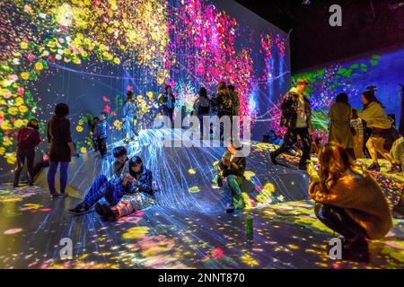 Digital Art Museum, Epson Team Lab Borderless, Odaiba Island, Tokyo, Giappone Foto Stock