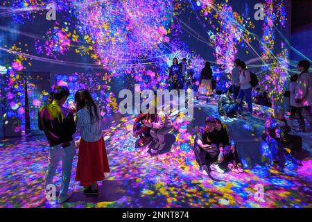 Digital Art Museum, Epson Team Lab Borderless, Odaiba Island, Tokyo, Giappone Foto Stock