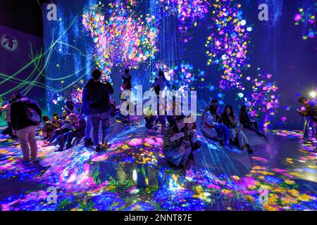 Digital Art Museum, Epson Team Lab Borderless, Odaiba Island, Tokyo, Giappone Foto Stock