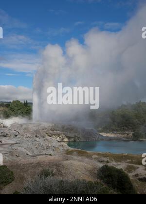 Il vapore che erutta da geyser, Pohutu Geyser, Whakarewarewa Thermal Park, Whakarewarewa, Rotorua, Baia di Plenty, Isola del Nord, Nuova Zelanda Foto Stock