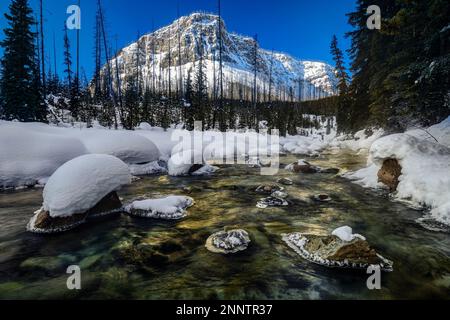 Paesaggio con cima di montagna e Tokumm Creek in inverno, Marble Canyon, British Columbia, Canada Foto Stock