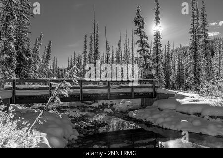 Ponte sul canale del fiume Bow in bianco e nero, Lake Louise, Alberta, Canada Foto Stock