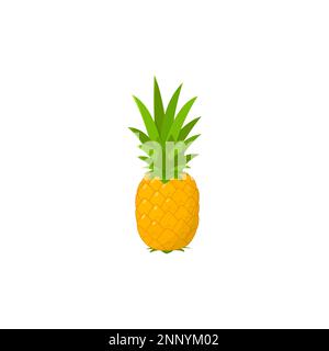 design piatto di ananas fresco giallo frutta per estate isolato sfondo bianco Illustrazione Vettoriale