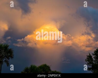 Nuvole temporesche sul Golfo del Messico, Venezia, Florida, Stati Uniti Foto Stock