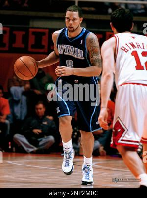 Deron Williams, giocatore di basket Utah Jazz Foto Stock