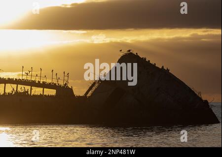 Silhoutte della SS Palo Alto vicino al tramonto, un vecchio naufragio della seconda guerra mondiale al largo della costa di Aptos, California Foto Stock