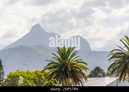 Vista del Monte Warning, noto anche come Wollumbin, vicino a murwillumbah, nuovo Galles del Sud, australia Foto Stock