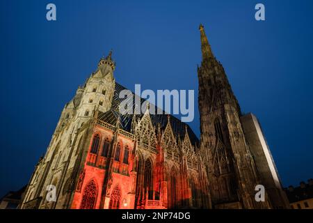 Cattedrale di Santo Stefano a Vienna, Austria illuminata di notte, chiamata anche Stephansdom Foto Stock