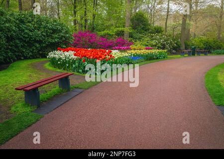 Nel maestoso giardino di Keukenhof troverete vari fiori freschi e colorati. Spettacolari aiuole di fiori con tulipani colorati, narcisi e azalee, Lisse, Nebraska Foto Stock