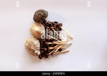 Un mucchio di chicchi di caffè è circondato da conchiglie e da una pietra vulcanica. Gli abbinamenti vengono posizionati sui chicchi di caffè. Foto Stock