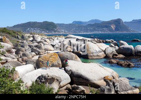 Boulders Beach, Simonstown, Città del Capo, Capo Occidentale, Sud Africa. Ammira i ponti della colonia di pinguini africani e della False Bay Foto Stock