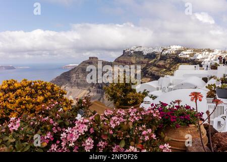 Una vista lungo la caldera verso Imerovigli con fiori primaverili in fiore. Foto Stock