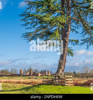 Le rovine di Bradgate House nel Leicestershire. Foto Stock