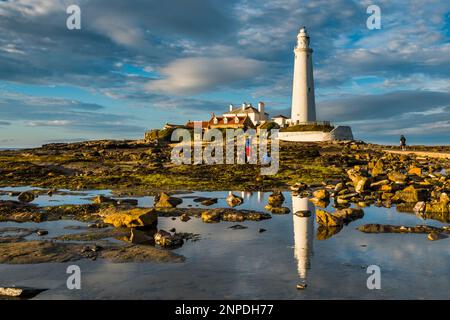 St Marys faro a Whitley Bay. Foto Stock