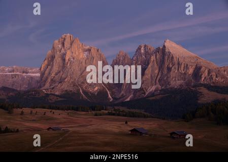 L'Alpe di Siusi (in italiano: Alpe di Siusi, Ladino: Mont Sëuc) è un altopiano dolomitico e il più grande prato alpino d'alta quota (in tedesco: Alm) d'Europa. Posizione Foto Stock