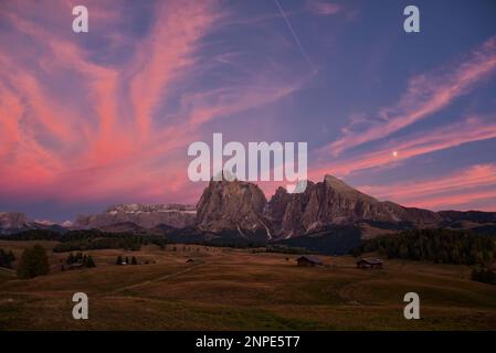 L'Alpe di Siusi (in italiano: Alpe di Siusi, Ladino: Mont Sëuc) è un altopiano dolomitico e il più grande prato alpino d'alta quota (in tedesco: Alm) d'Europa. Posizione Foto Stock